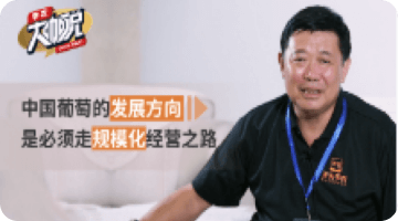 中国普通的发展方向 是必须走规模化经营之路