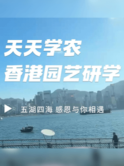 与香港园艺学会联合举办香港园艺研学，专业园境师带队讲解。