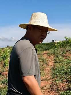 农业人叶涛，50多岁通讯人跨界搞农业，他要用1000万打造一个梦。